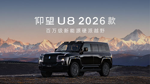 仰望2026款新车临沂店品鉴10.jpg